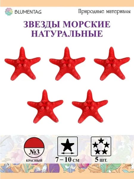 Звезда морская 10 см, 5 шт