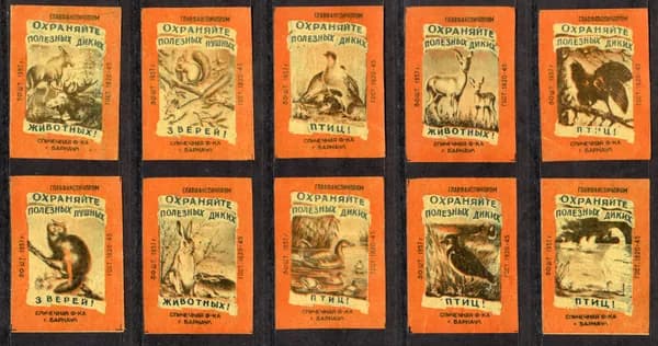 Спичечные этикетки СССР. 1957 год. Охраняйте полезных и диких животных и птиц. Гост-45.