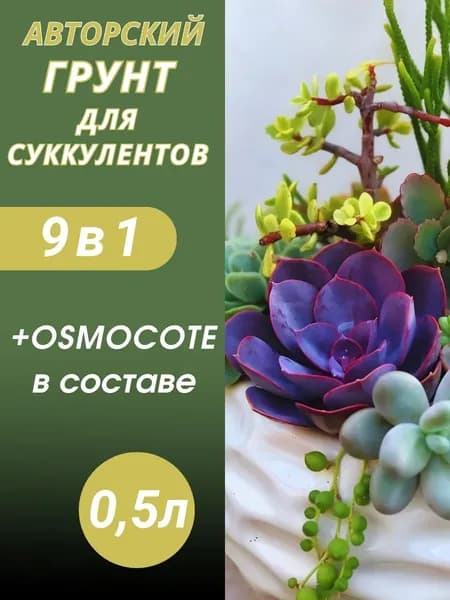Грунт для Суккулентов 0.5л готовый