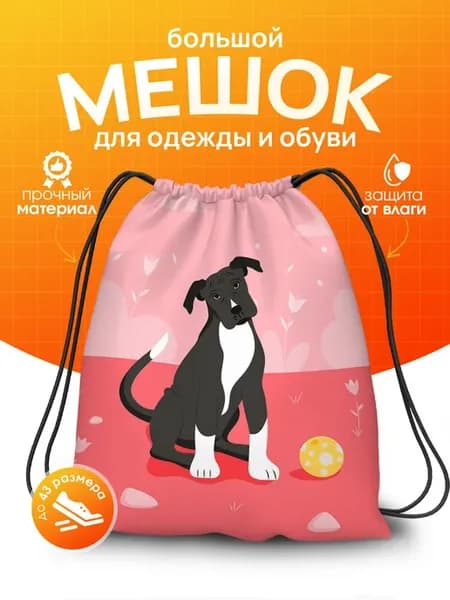 Мешок для обуви в школу сменки большой для мальчика