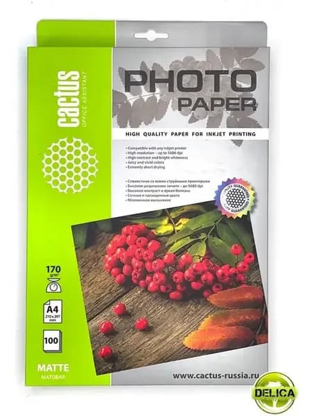 Фотобумага А4, 170 г м2, 100л. матовая, для струйной печати