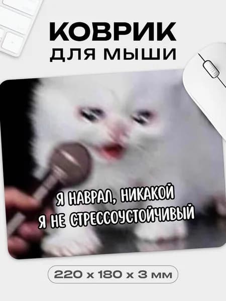 Коврик для мышки с приколом Котик, 18х22 см