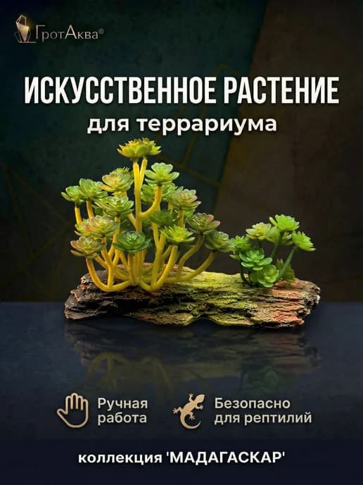 Растение для террариума, аквариума на подставке