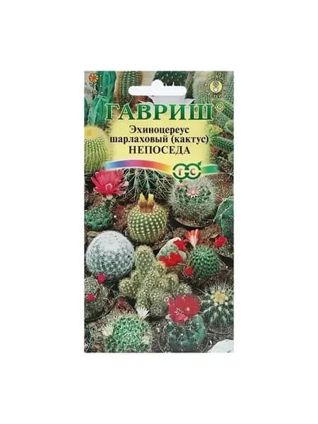 Комплект семян кактусов для дома, 5 шт