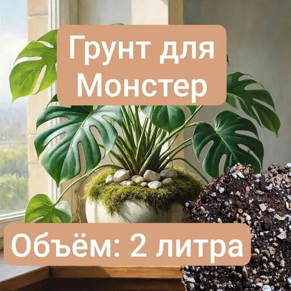 Грунт для Монстеры, 2 литра