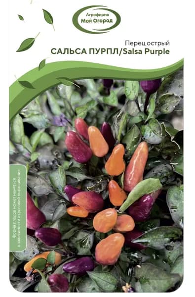 Перец острый Salsa Purple декоративный/коллекционный (сальса фиолетовый) семена 5 шт