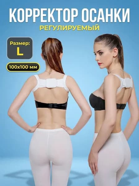 Тренажер для спины 1688-1030792090245