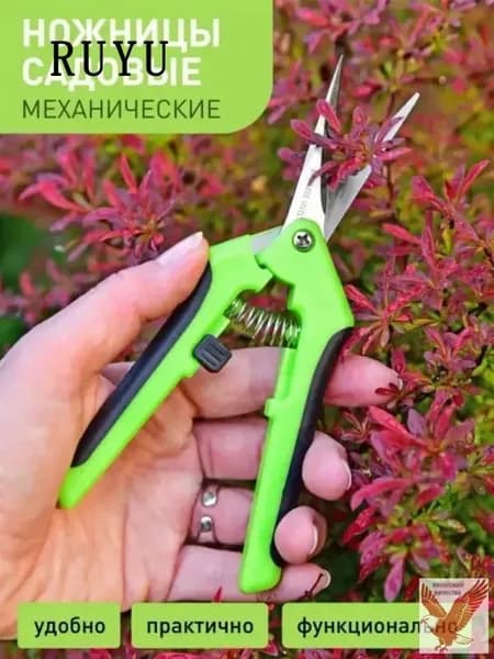 Сучкорез