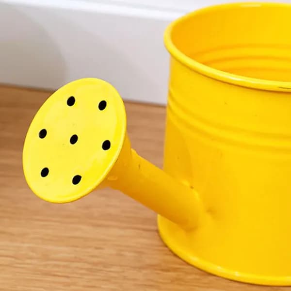 Лейка