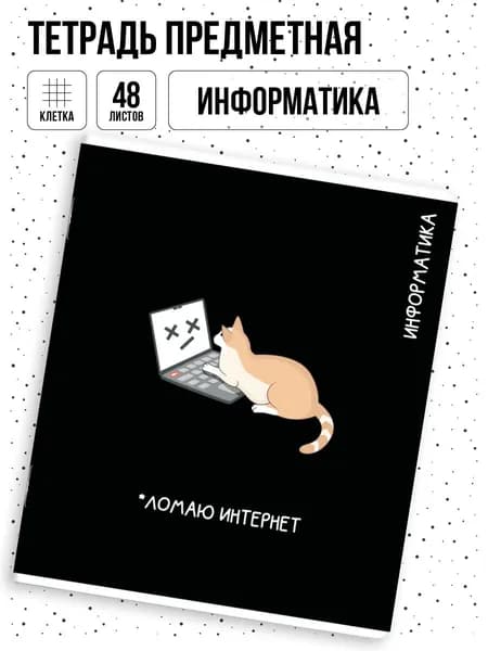 Тетрадь предметная по информатике 48 листов в клетку Феникс+
