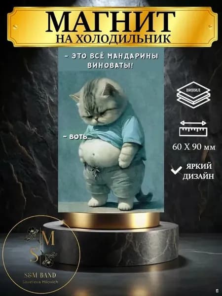 Магнит на холодильник Смешной кот