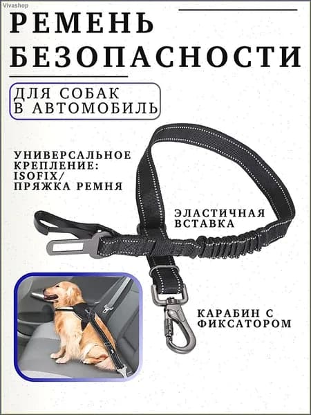 Ремень безопасности для собак