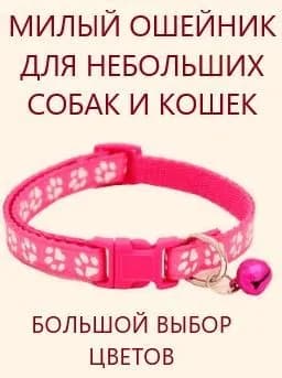 Ошейник
