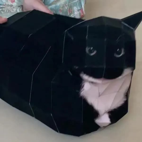 Модель бумажного кота