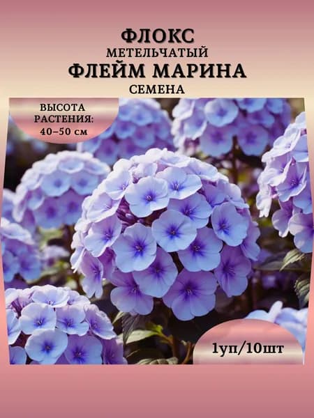 Флокс метельчатый "Флейм Марина" семена, 1 пачка