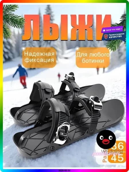 Прогулочные мини-лыжи