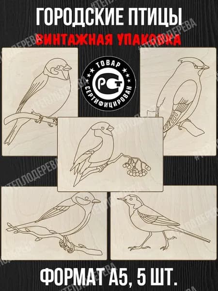 Доски для выжигания. Тепло дерева. Городские птицы. Формат А5. 5 шт. Заготовки для рисования, росписи, творчества.