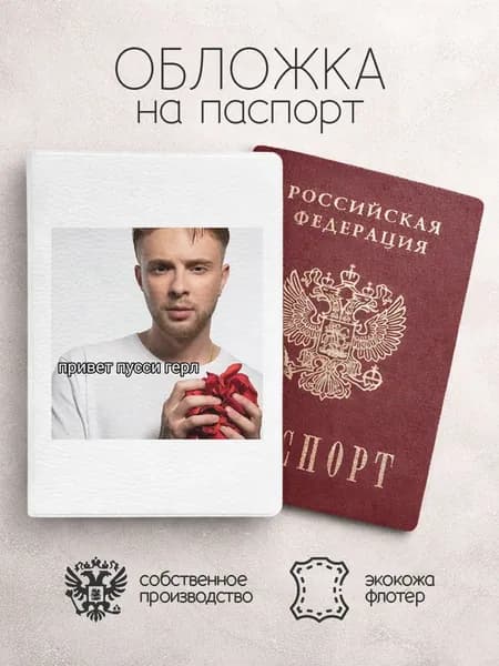 Обложка на паспорт мем с егоом кридом привет пуссигерл