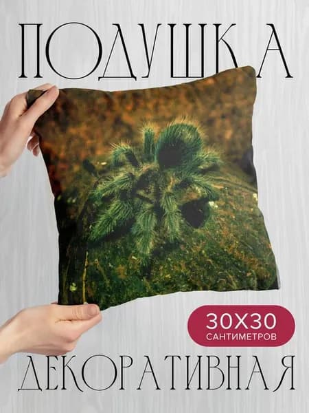 Подушка декоративная, 30x30см Животные паук кокос
