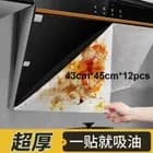 Фильтровальная мембрана для кухонной вытяжки из нетканого полотна, рулон 10 м х 46 см