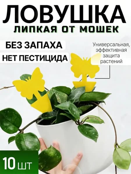 Ловушка для садовых вредителей