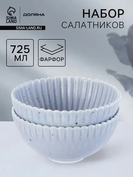 Салатники «Коралл», d=16.1 см, набор 2 шт, фарфор, голубые