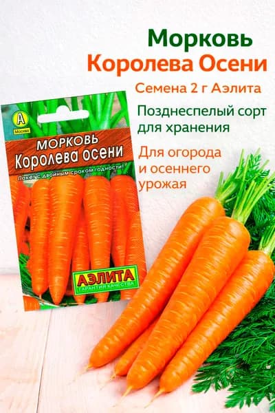 Морковь Королева осени. Семена 2г (Аэлита)