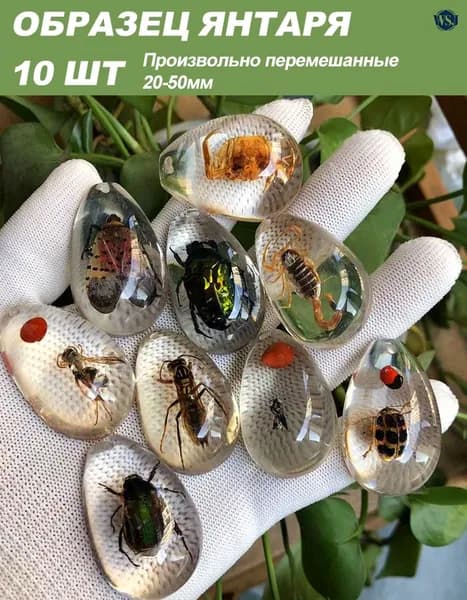 Насекомые в янтаре,аксессуары из смолы, насекомое, янтарь10 шт.