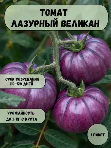 Томат Лазурный великан, семена 10 шт