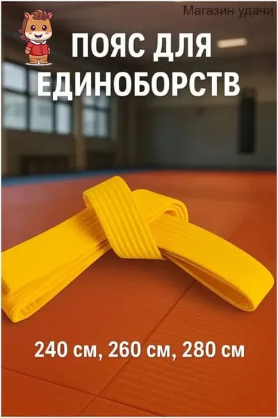 Пояс для единоборств