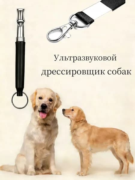 Свист на тренировке собакдля дрессировки, для прогулок