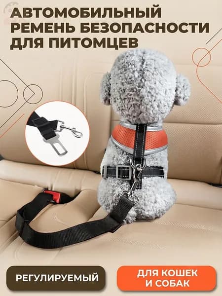Ремень безопасности для собак в машину1