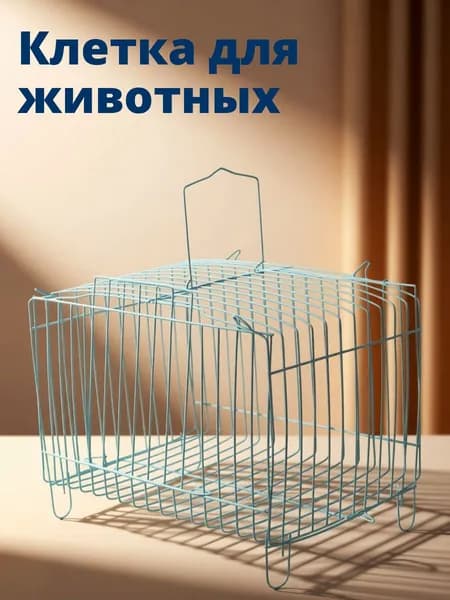 Металлическая переносная клетка для птиц синего цвета, с проволочной конструкцией для хранения