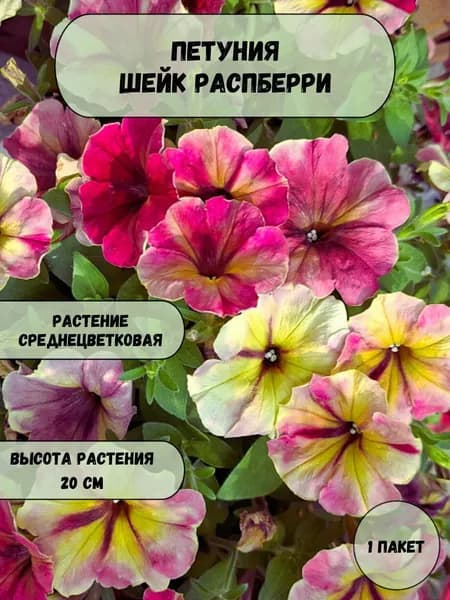 Петуния Шейк Распберри , семена 10 шт