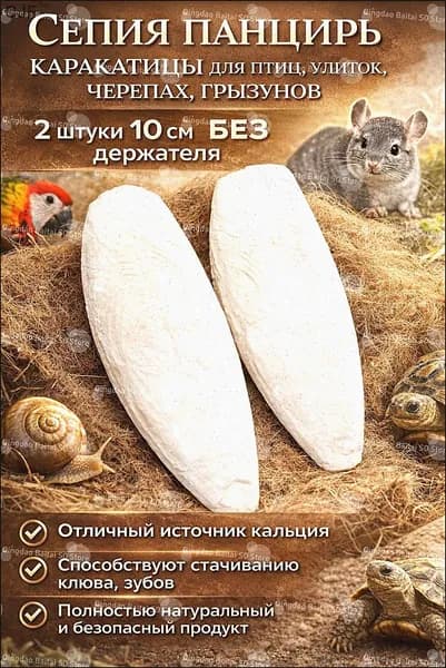 Сепия панцирь каракатицы для птиц, улиток, черепах, грызунов 2 штуки 10 см БЕЗ держателя