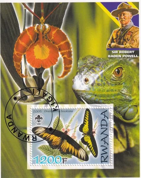 Шарджа 1972 цветы