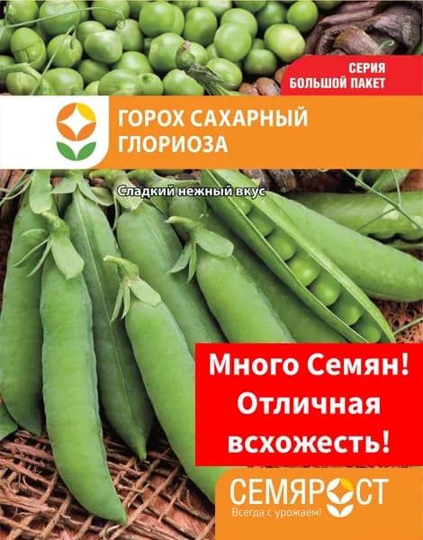Семена Горох Глориоза 30г Семярост