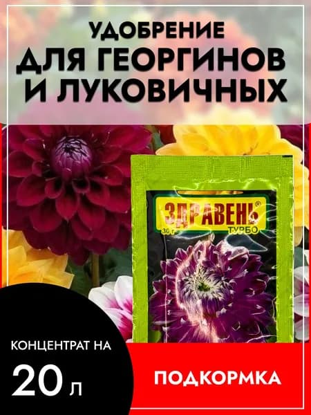 Подкормка (удобрение) для Георгинов и Луковичных цветов Здравень турбо быстрорастворимое удобрение 30г