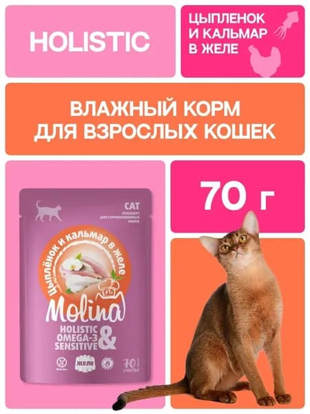 Влажный корм Molina для кошек любых пород, цыплёнок и кальмар в желе 70гр