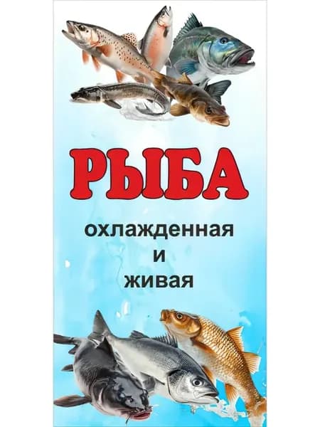 рыба5