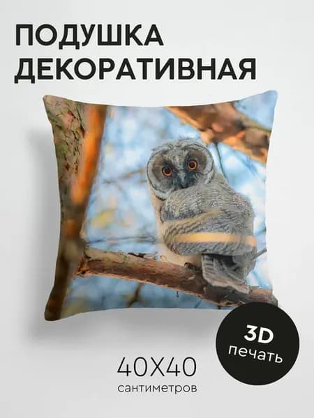 Подушка декоративная, 40x40см Животные филин птица