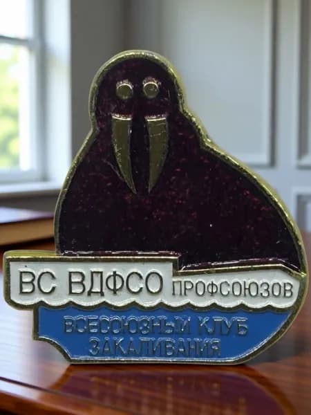 Знак Всесоюзный клуб закаливания, ВС ВДФСО (Всесоюзное добровольное физкультурно-спортивное общество). Алюминий. Клеймо ММД. Советский значок