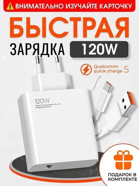 Сетевое зарядное устройство 1