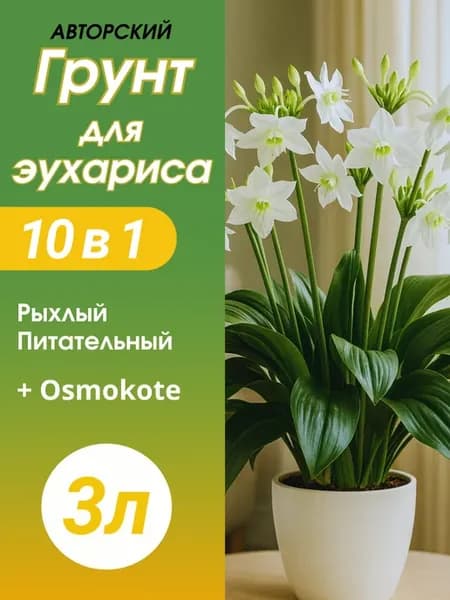 Грунт для Эухариса 3л готовый