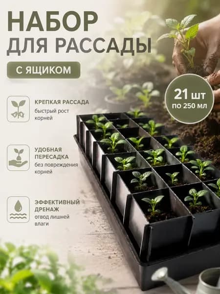 Набор для рассады 21 ячеек 250 мл разборный с поддоном