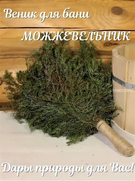 Веник для бани Можжевеловый, 1 шт.