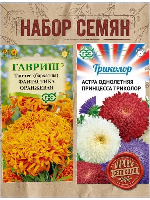 Бархатцы Фантастика оранжевая и астра Принцесса Триколор