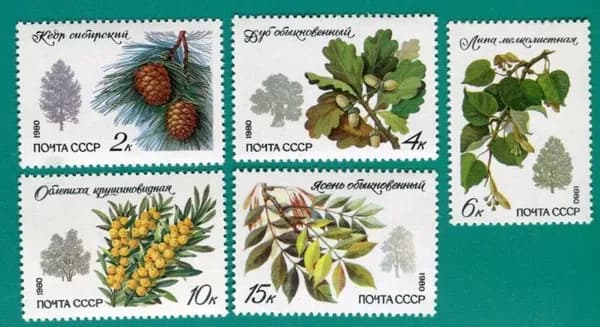 СССР, 1980. (5120-24) Породы деревьев и кустарников,