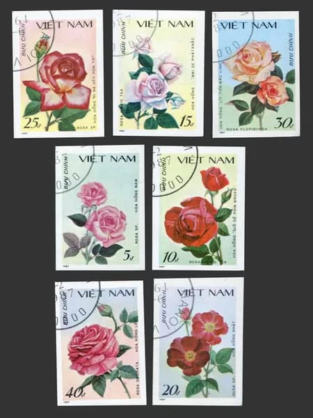Вьетнам-1988. Розы. Серия из 7 марок. Без зубцов. Гашение