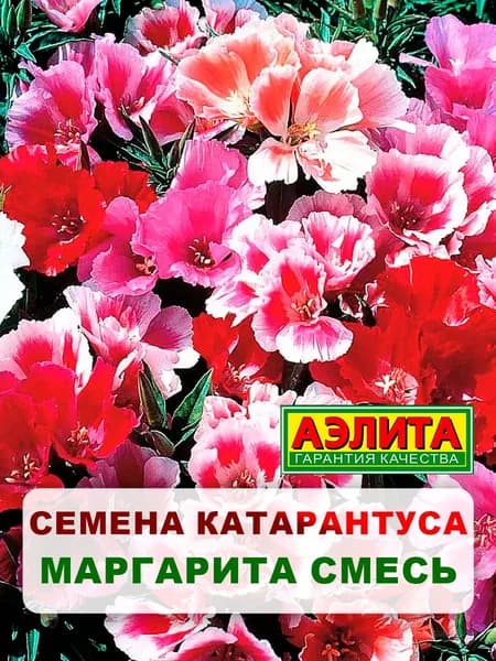 Семена годеция "Маргарита", смесь, 0,05 г, однолетние цветы, для дачи, сада и огорода, клумбы, в открытый грунт